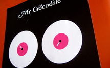 Mr Crocodile DJ set