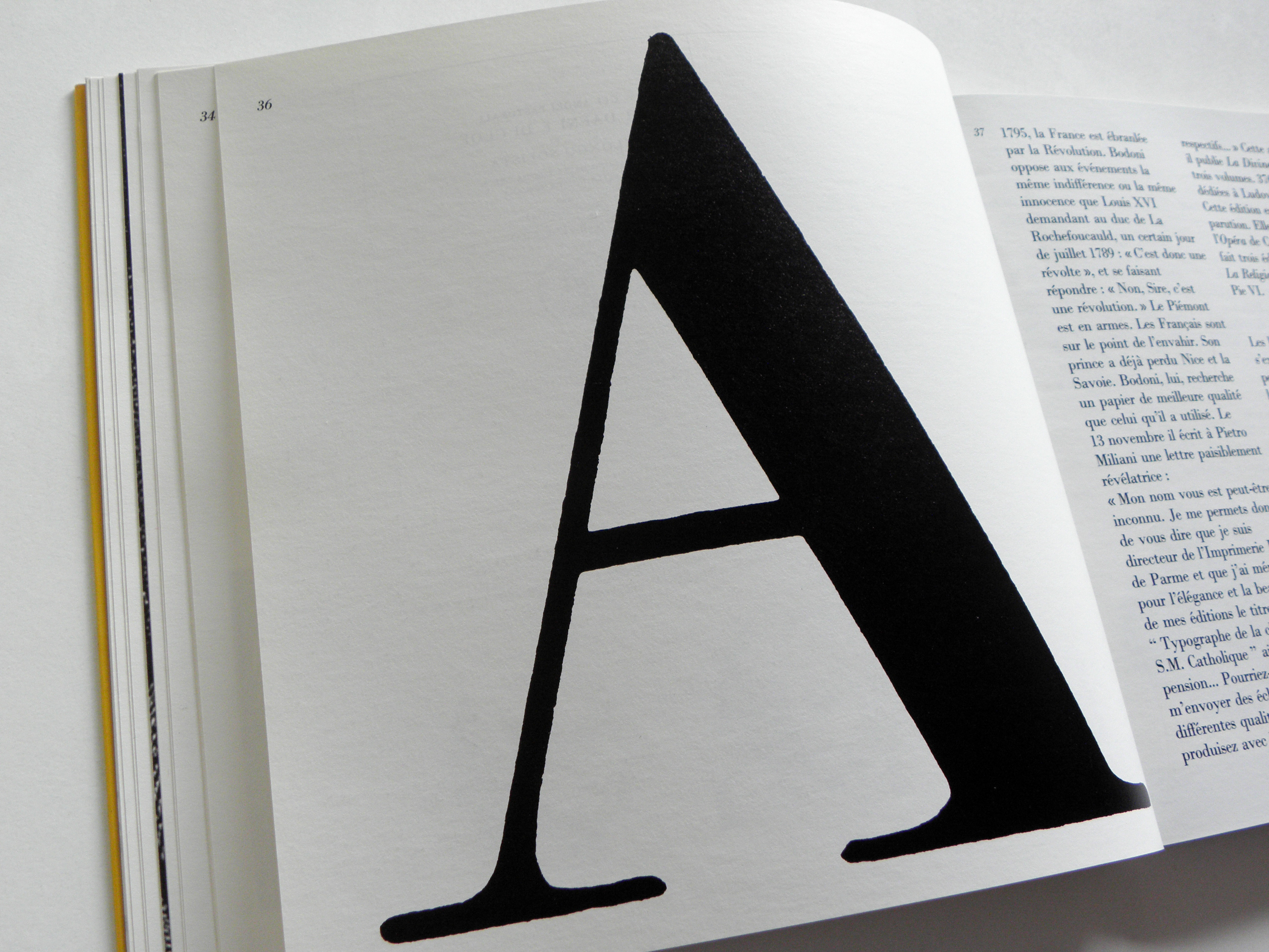 damase & bodini damase & bodini