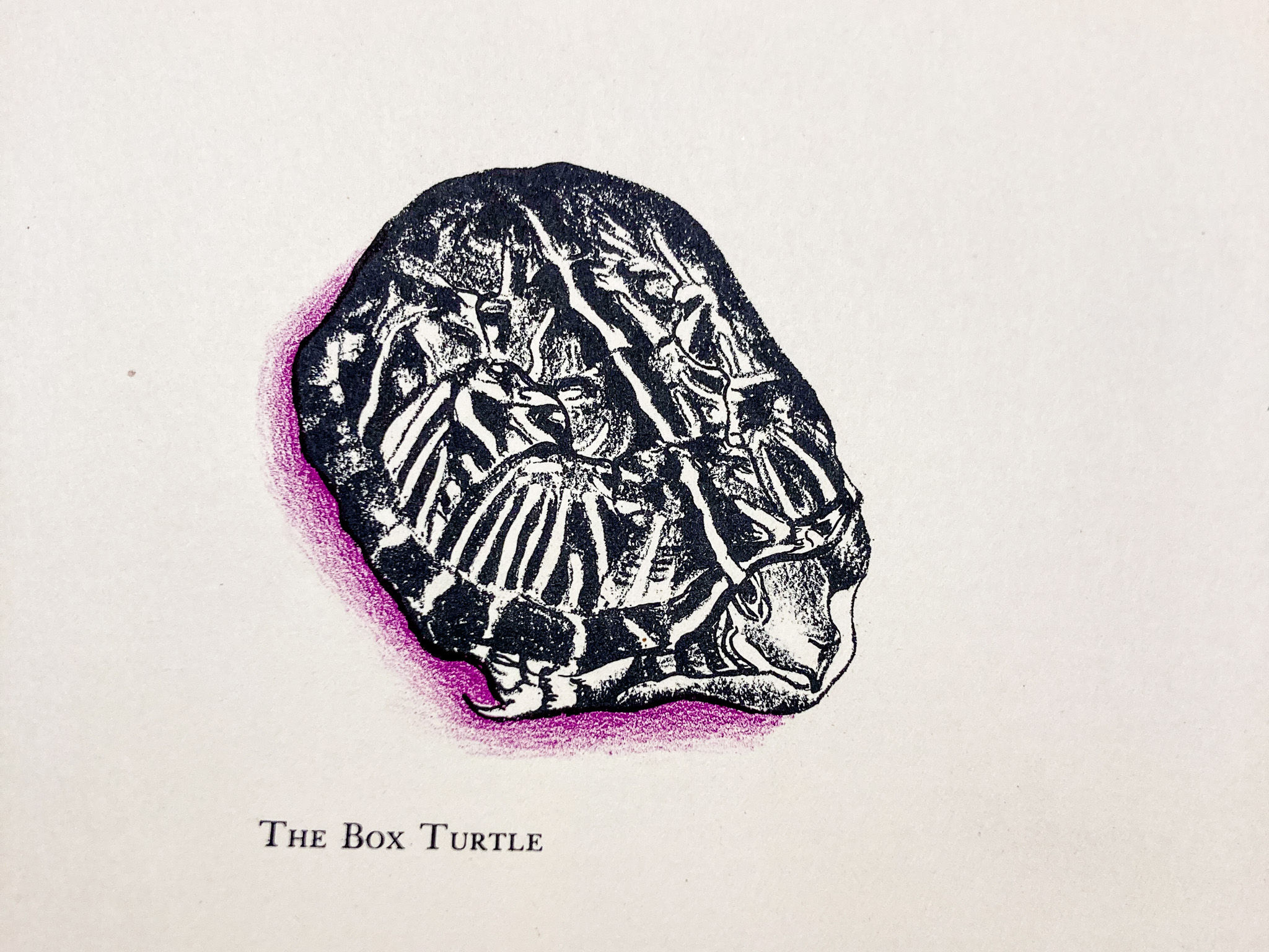 moulins pot-pourri moulins pot-pourri