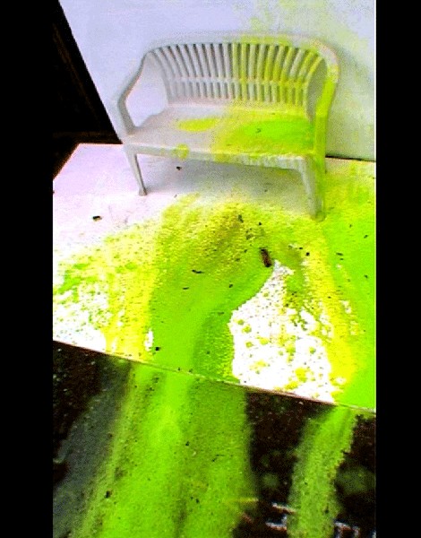 MrCrocodile 07 MrCrocodile 07