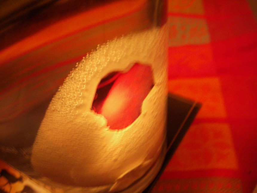 bébé dino bébé dino