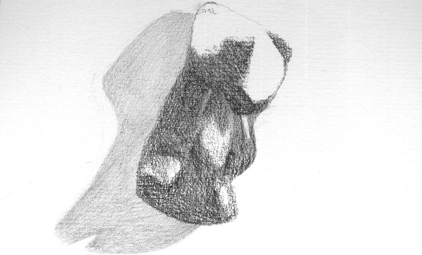 petit ourson #2 petit ourson #2