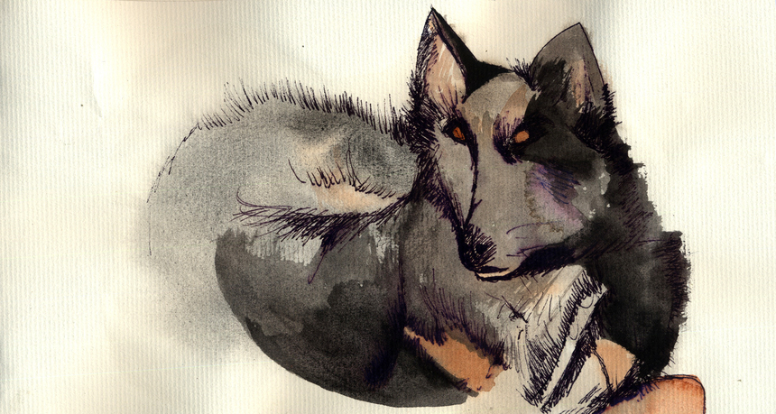 t-ou--t-ou t-ou--t-ou