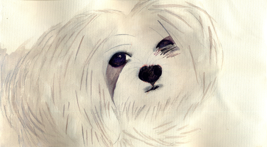 ttttoooouuutttoooouu ttttoooouuutttoooouu