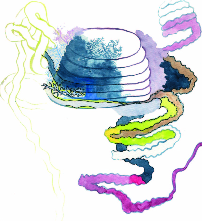 intestins et tripes intestins et tripes