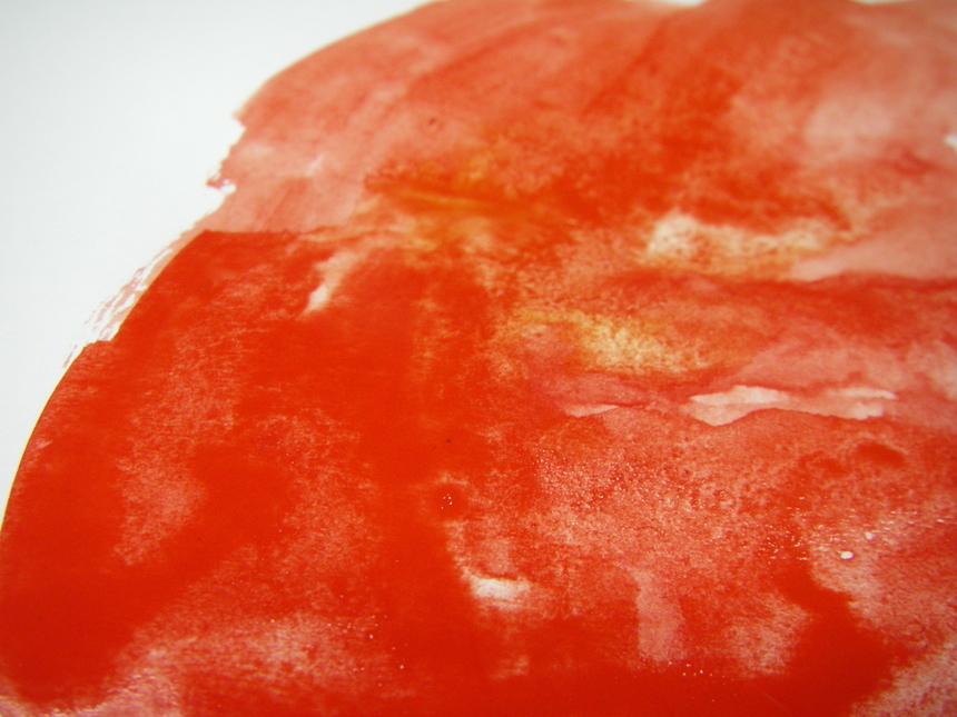 canard au sang canard au sang