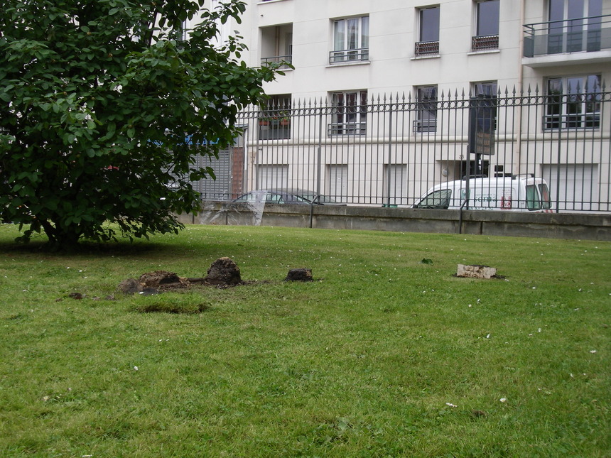 Exposition Point de Vue / Saint Denis Exposition Point de Vue / Saint Denis