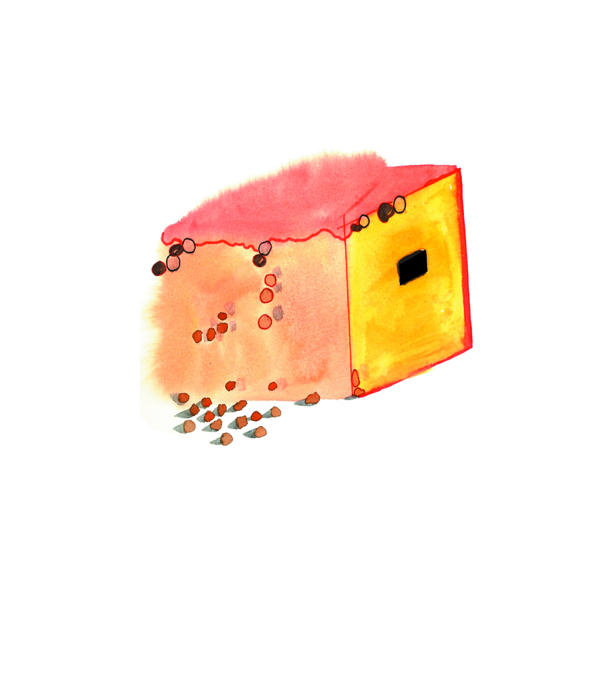 Papaya house Papaya house