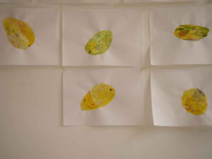 nouvelles papayes nouvelles papayes