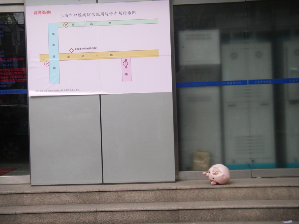 Mysterious Shanghai piglet Mysterious Shanghai piglet