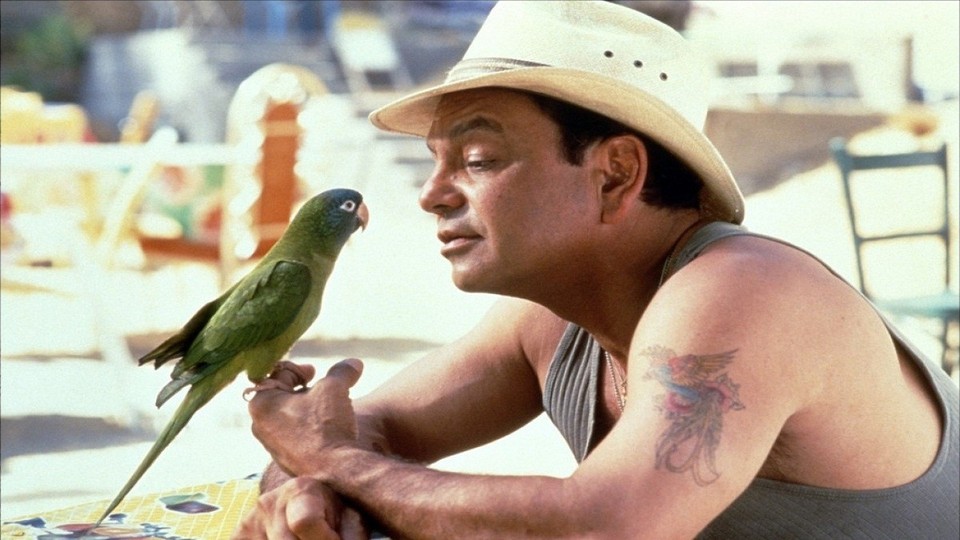 Courrier des lecteurs du Mercredi - 21 Mars 2012 Courrier des lecteurs du Mercredi - 21 Mars 2012