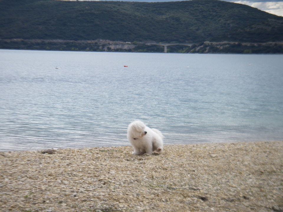 Courrier du Mercredi 25 avril 2012 Courrier du Mercredi 25 avril 2012