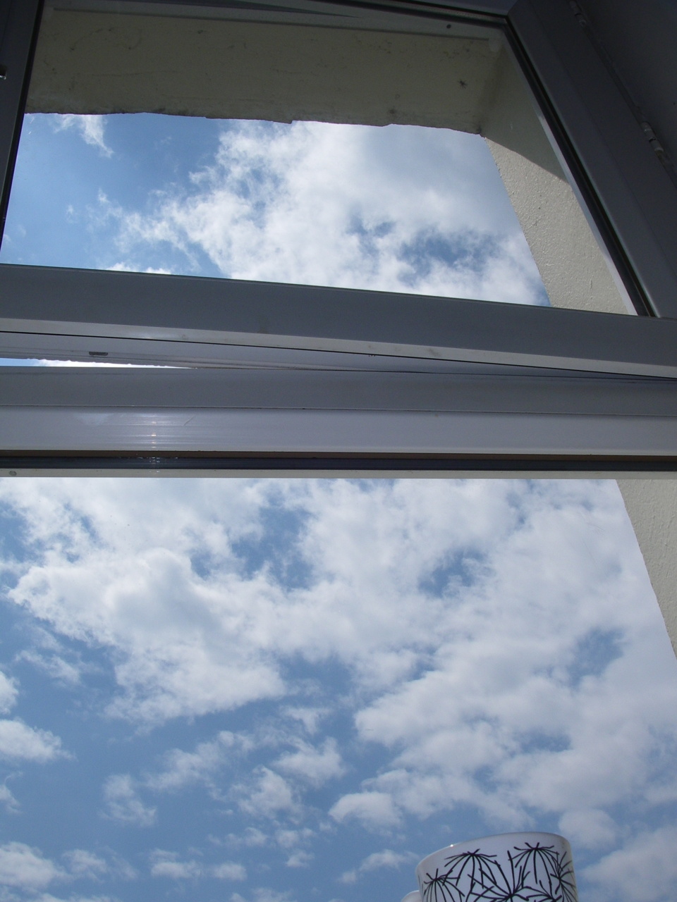 Spider & Sun Spider & Sun