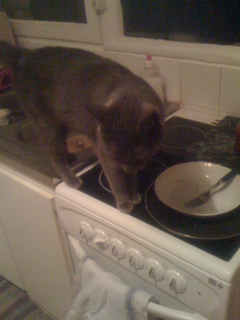 Le Mail du Mercredi Le Mail du Mercredi