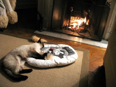 Le Mail du Mercredi Le Mail du Mercredi