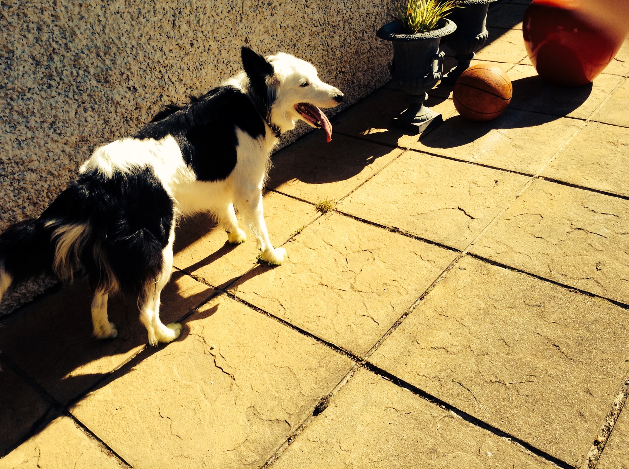 Le Mail du Mercredi Le Mail du Mercredi