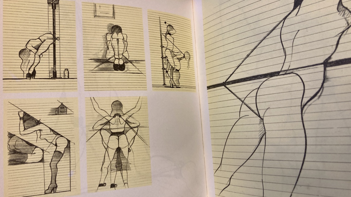 ungerer satyricae ungerer satyricae