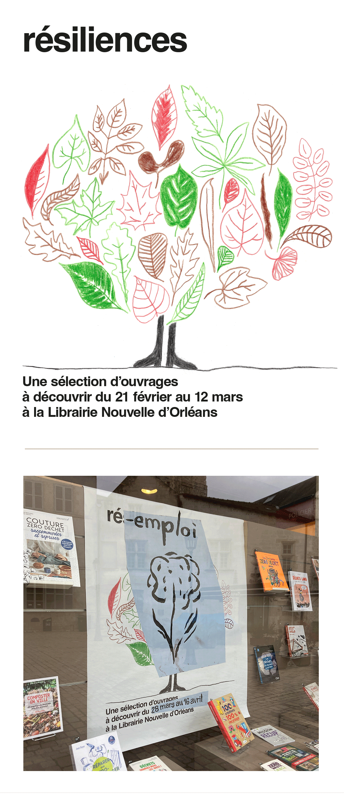 affiches pour la librairie nouvelle