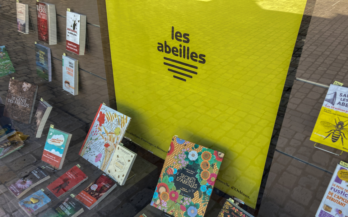 affiches pour la librairie nouvelle