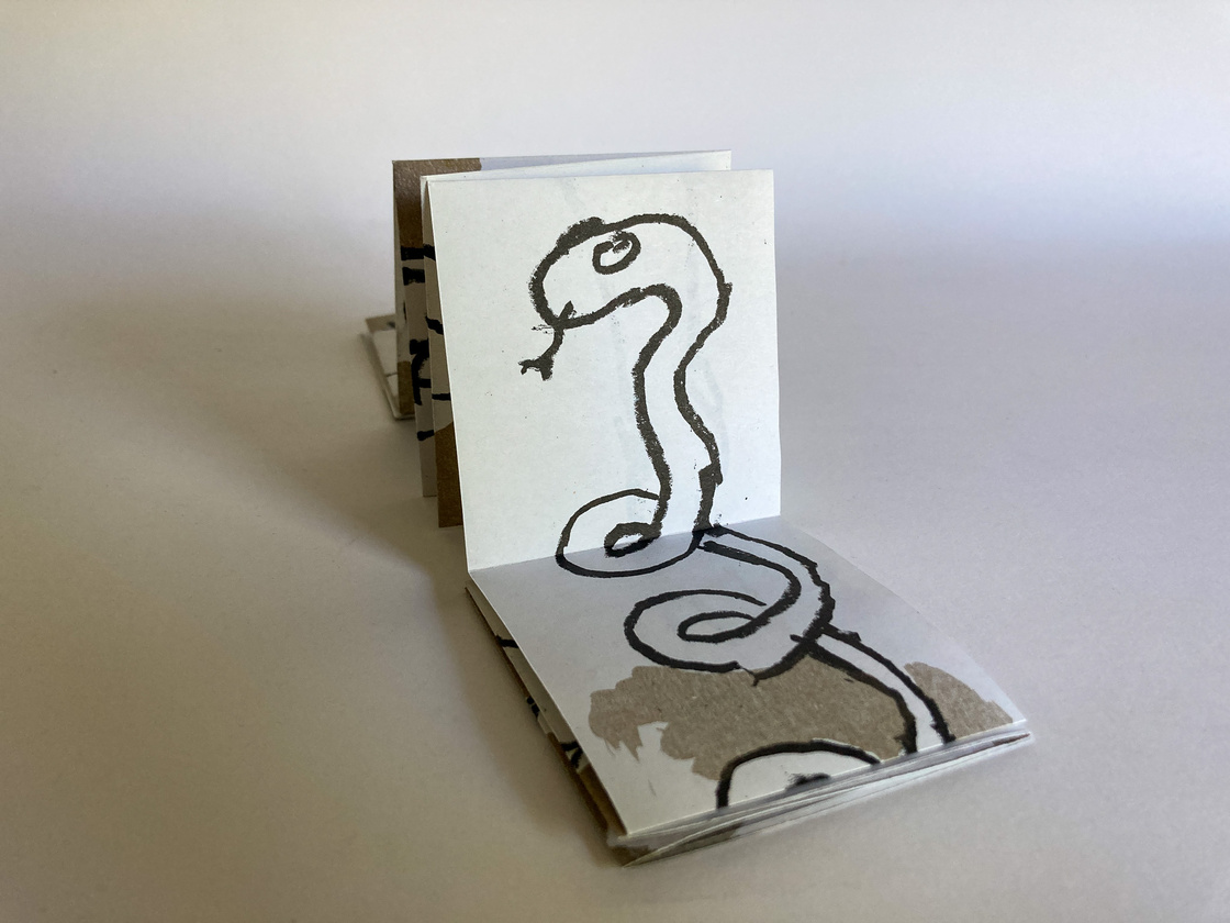 10 animaux 10 animaux