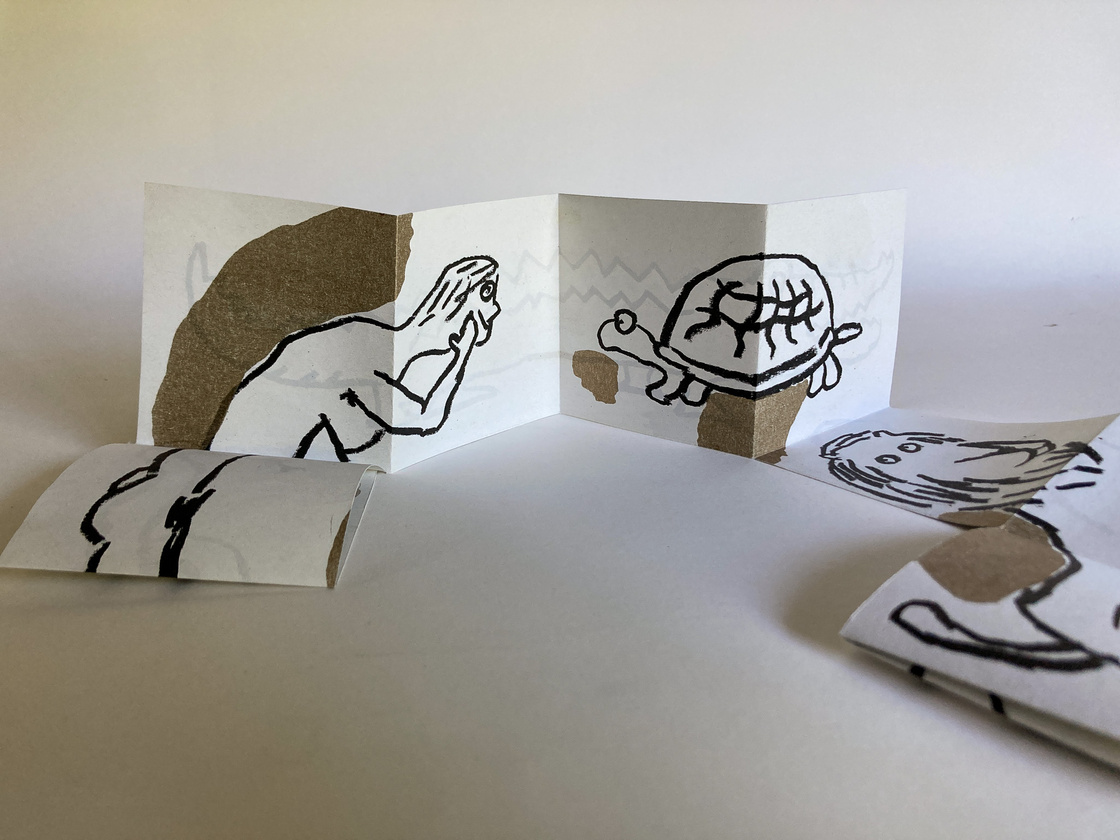 10 animaux 10 animaux