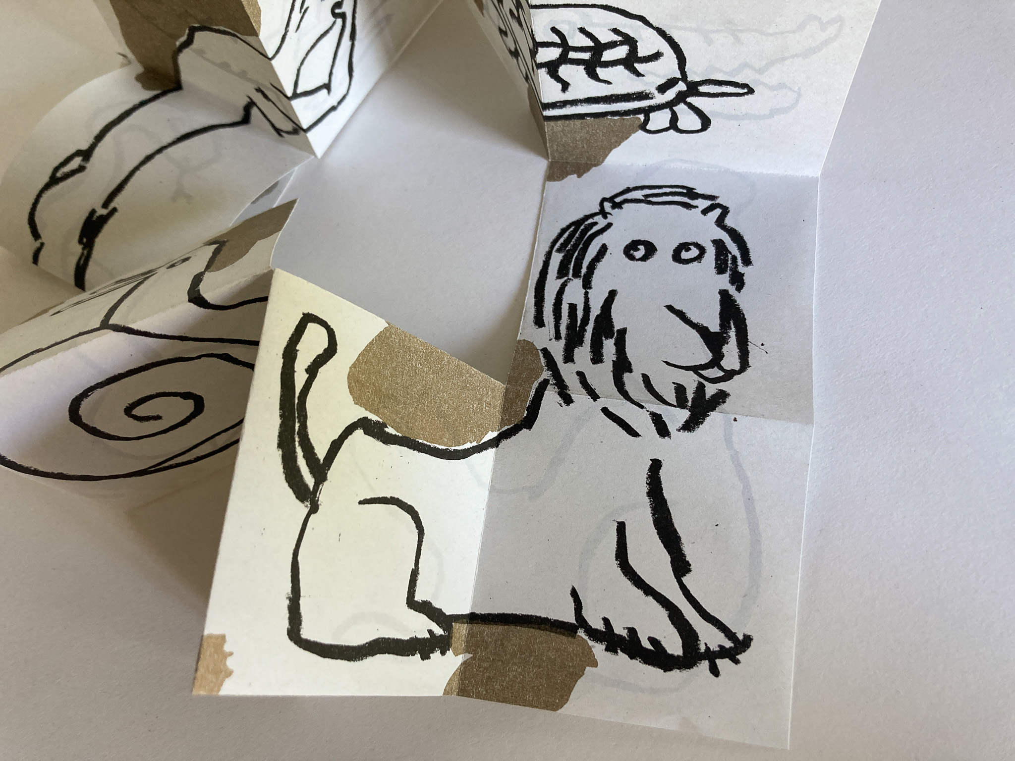 10 animaux