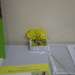 IMGP2596.JPG